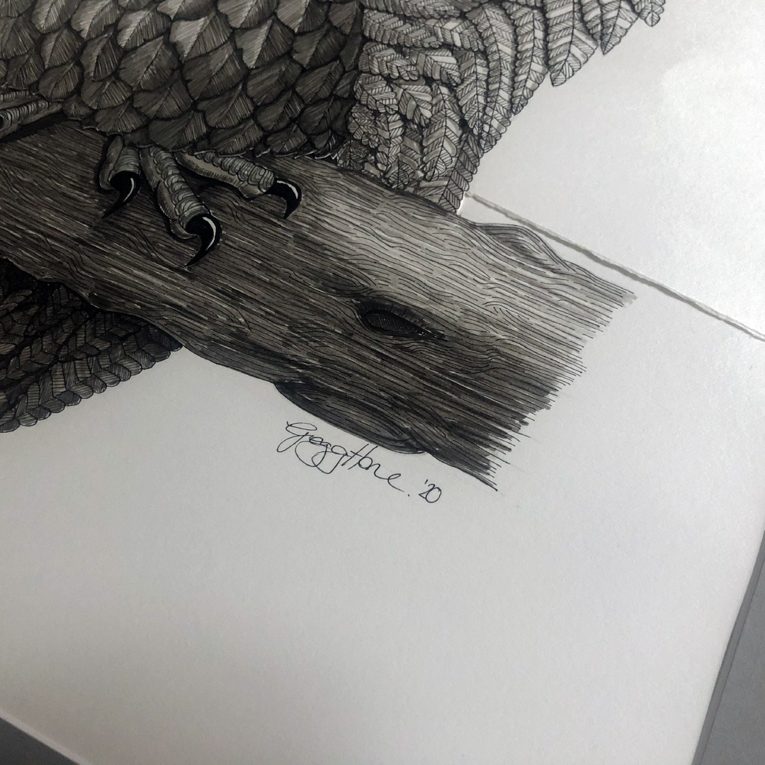 Art The Hague Kookaburra drawing by Gregg Hone