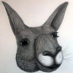 Kangaroo drawing by Gregg Hone